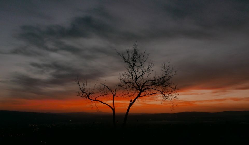 Assisi by night