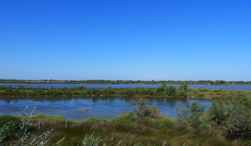 Camargue