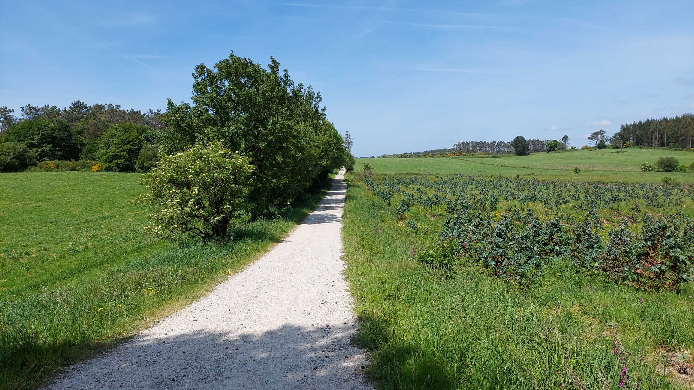 Cammino di Santiago verso Muxia, maggio 2023