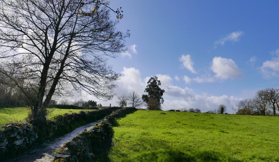 Paesaggio in Galizia, sul cammino di Santiago