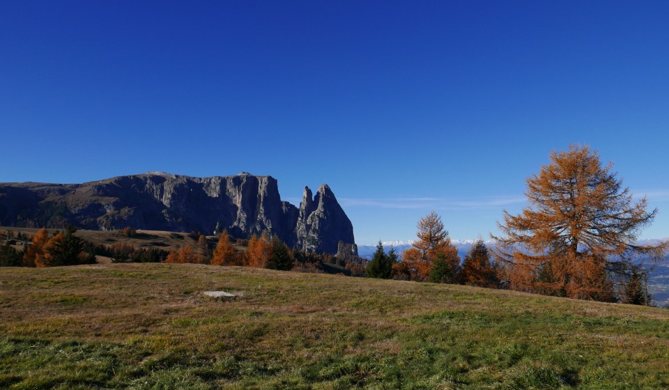 Alpe di Siusi verso lo Sciliar
